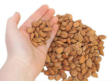 Load image into Gallery viewer, 1/2LB / 227G - BITTER APRICOT KERNELS