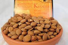 Load image into Gallery viewer, 1/2LB / 227G - BITTER APRICOT KERNELS